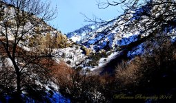 Mountain Valley.jpg
