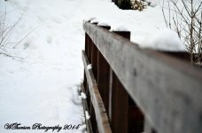 Bridge in the Mountains.jpg