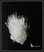 Day 32 Mineral.jpg