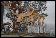 Day 32 fossil 2.jpg