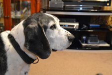 DSC_1747.jpg