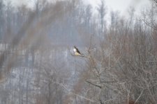 DSC_1769.jpg