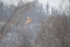 DSC_1770.jpg