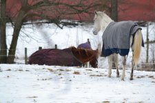 DSC_1787.jpg