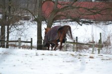 DSC_1793.jpg
