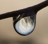 DSC_9765.jpg
