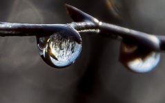 DSC_9862.jpg