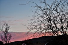 2nd Feb 2014 004.JPG