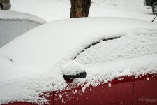 Day33-3.jpg