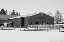 DSC_7208-Edit.jpg