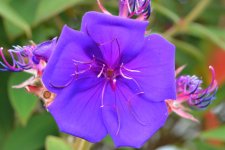 DSC_0540.jpg