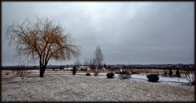 sunny day-84.jpg