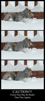 FrozenNutz-Edit.jpg