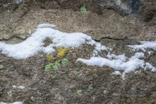 DSC_7226-Edit.jpg