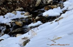 Farmington Creek.jpg