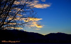 Winter Sunrise.jpg