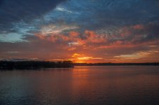 Nikonites-26-2.jpg