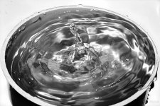 Day34-1.jpg
