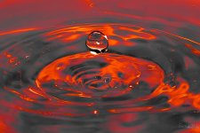 Day34-2.jpg