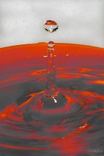 Day34-3.jpg