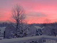 DSCN9077.jpg