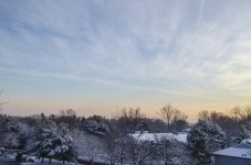 Wfield_010a.jpg