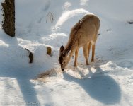 20140204-_D807009-Edit.jpg