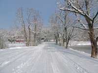 DSCN9078.jpg