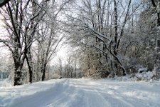 DSCN9089.jpg