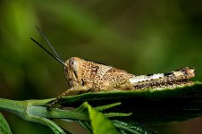 DSC_4061 (2).jpg
