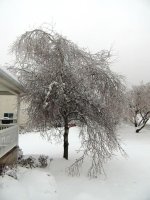 DSCN9116.jpg