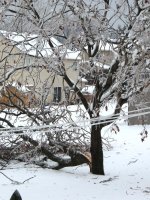 DSCN9123.jpg