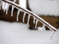 DSCN9121.jpg