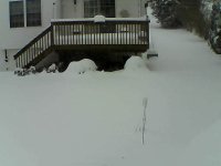 Bback deck.jpg