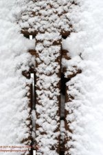 036 Snow-140205_01.jpg