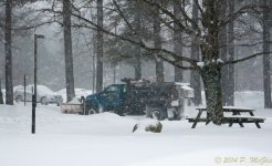 DSC_7292.jpg