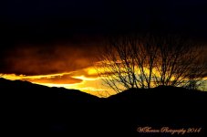 Sunrise 2.jpg