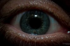 Day36-2.jpg