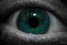 Day36-3.jpg