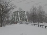 DSCN1167.jpg