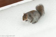 _D807130.jpg