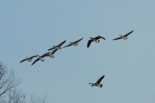 DSCN9109.jpg