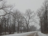 DSCN1159.jpg