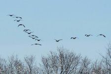 DSCN9107.jpg