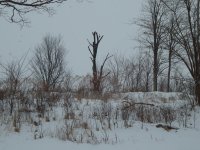 DSCN1161.jpg