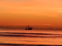 DSCN0805.jpg