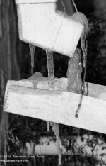037 Ice-140206_01.jpg