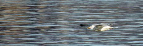 DSCN9238.jpg