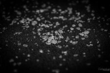 Day37-1.jpg