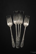 Day37-4.jpg